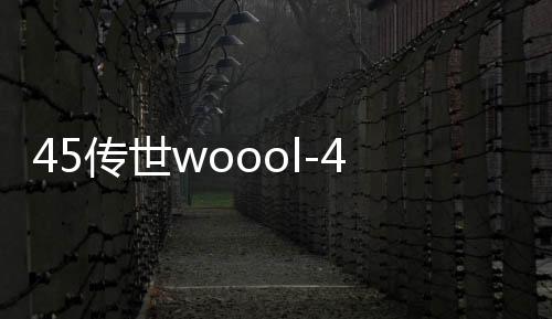 45传世woool-45传世sf发布网站