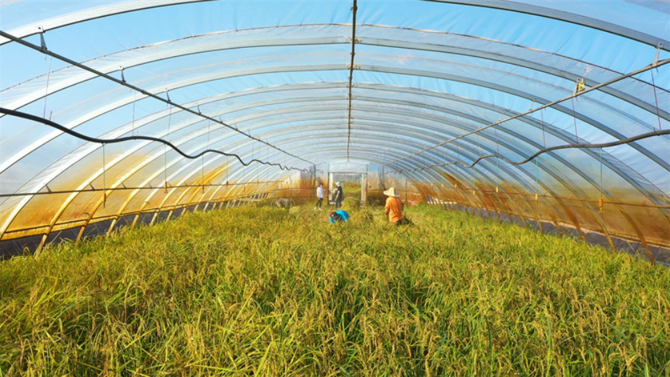 1631243801606391.png image.png