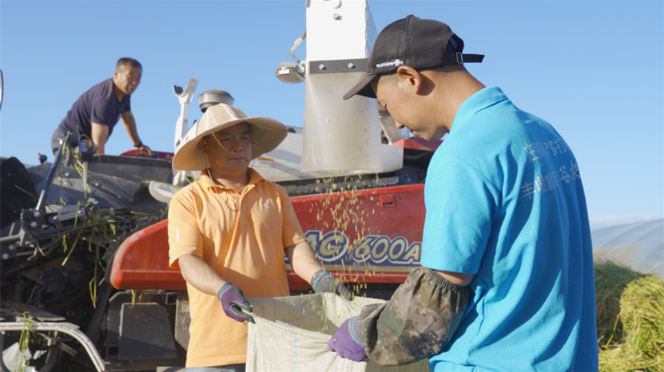 1631244495826424.png image.png