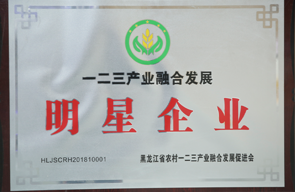 黑龍江省一二三產(chǎn)業(yè)融合發(fā)展明星企業(yè)